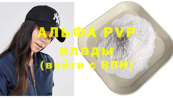 СК Кукмор