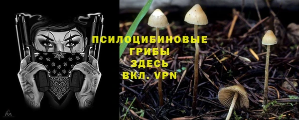 амф Куйбышев
