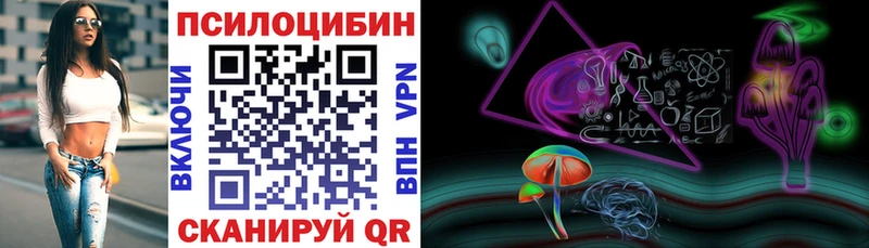 купить наркоту  Холм  ссылка на мегу маркетплейс  Псилоцибиновые грибы GOLDEN TEACHER 